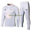 Juventus Sweatshirts Anzüge Suit Quarter-zip 2021-22 Weiße Für Herren